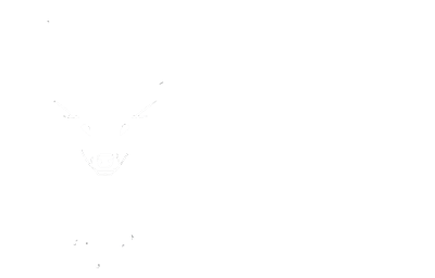 BYSTAG