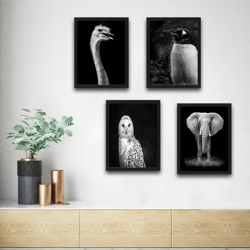 Bystag çerçeve hediyeli poster- poster set-çerçeveli poster