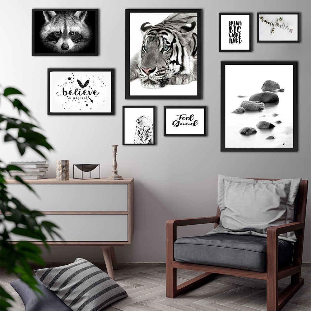 POSTER SET TIGER SET 8'Lİ